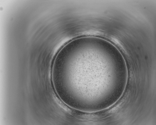 X0000088601232200706011154