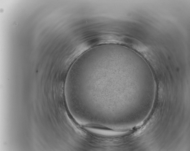 X0000088601233200706011154