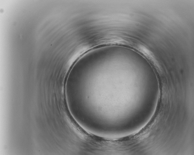 X0000088601234200706011154