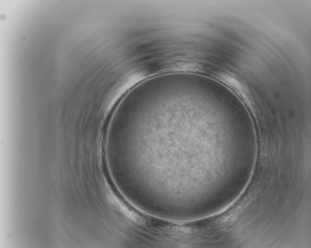 X0000088601235200706011154