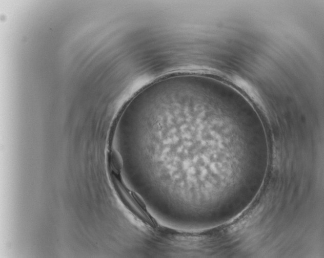 X0000088601237200706011154