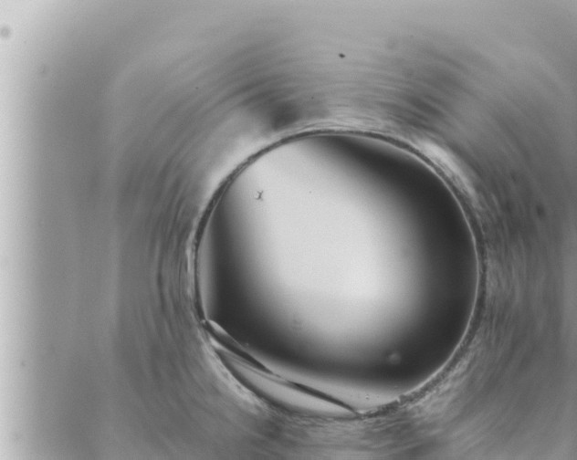 X0000088601238200706011154