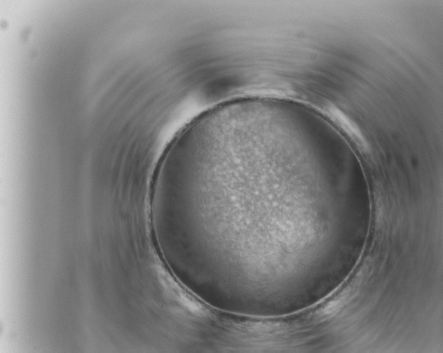 X0000088601240200706011154