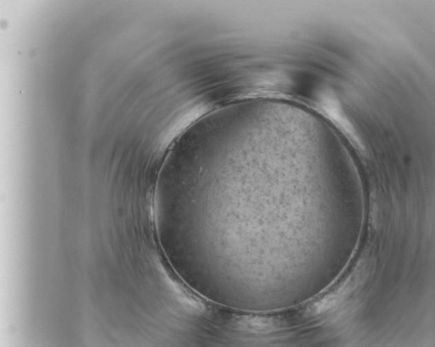 X0000088601241200706011154