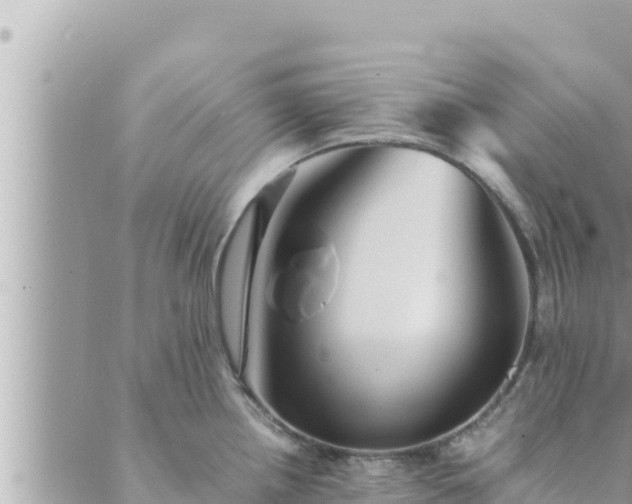 X0000088601242200706011155