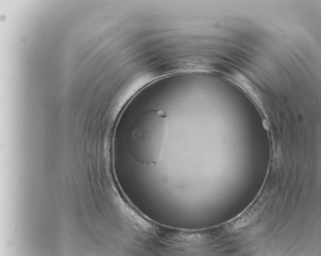 X0000088601243200706011155