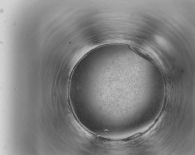 X0000088601244200706011155