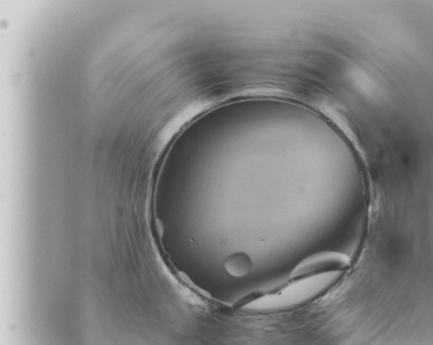 X0000088601245200706011155