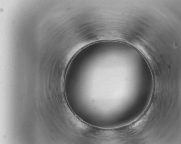 X0000088601246200706011155