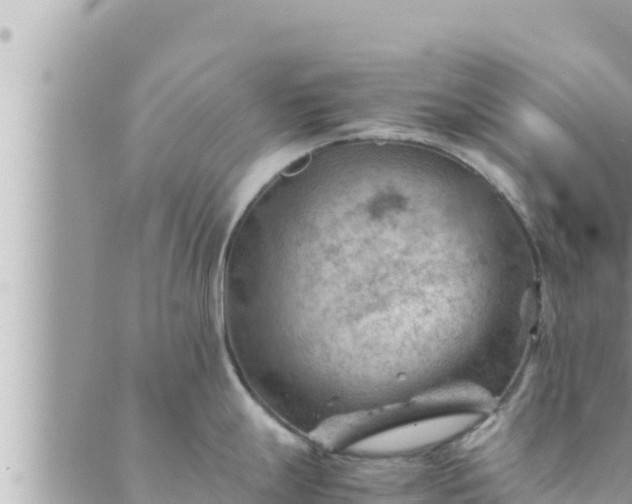 X0000088601247200706011155