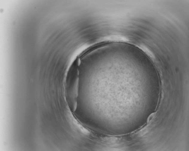 X0000088601248200706011155