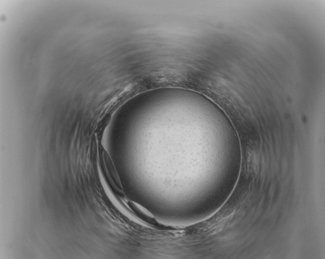 X0000088601250200706011154