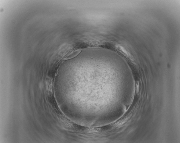 X0000088601251200706011154