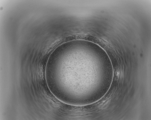 X0000088601252200706011154