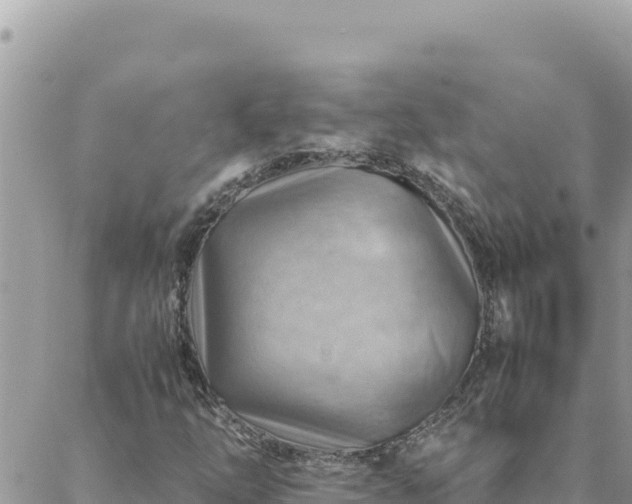 X0000088601254200706011154