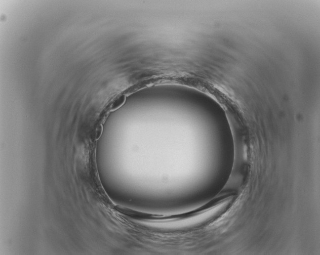 X0000088601257200706011154