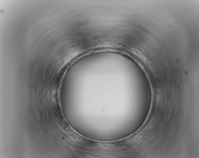 X0000088601258200706011154