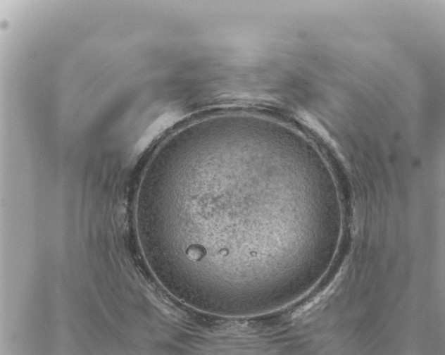 X0000088601259200706011154