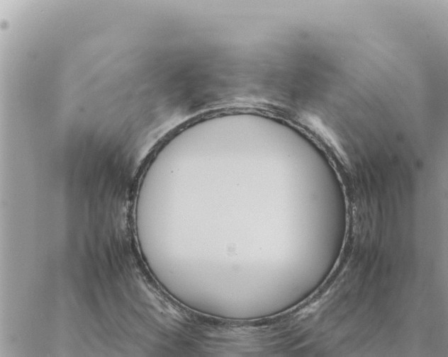 X0000088601260200706011154