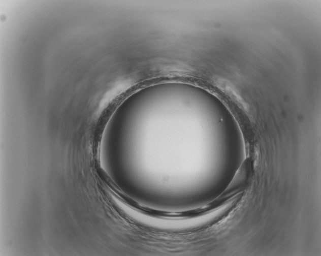 X0000088601261200706011154