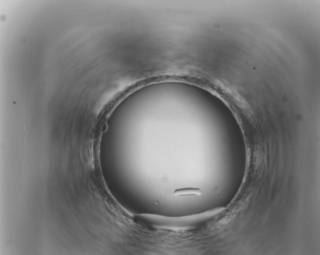 X0000088601262200706011154