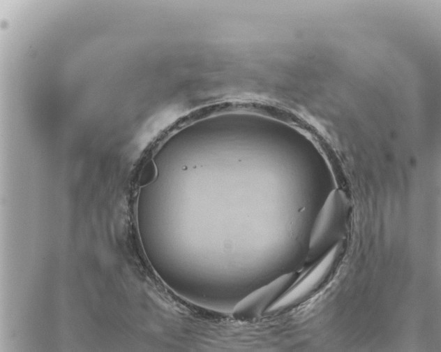 X0000088601263200706011154