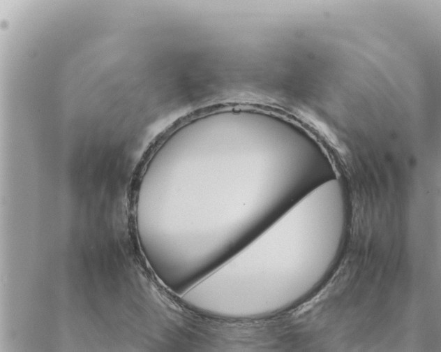 X0000088601264200706011154