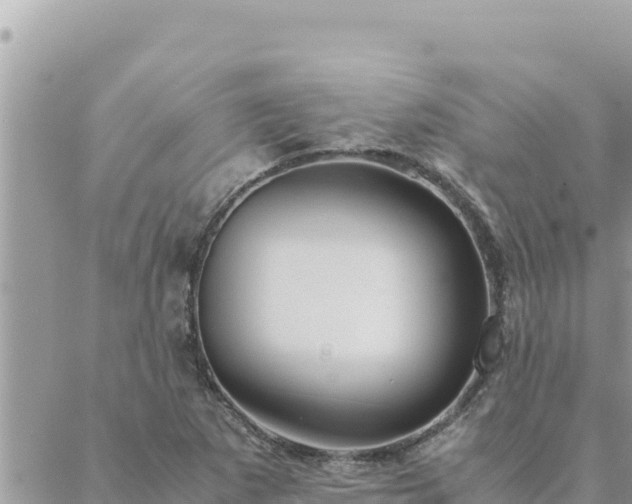 X0000088601265200706011154