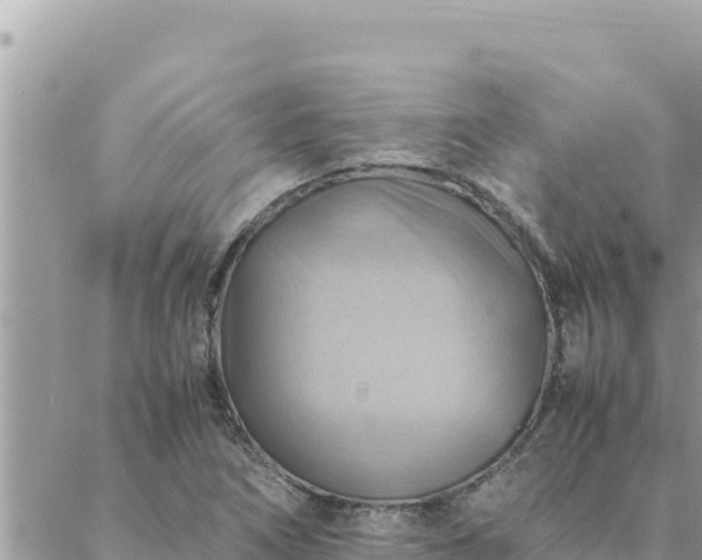 X0000088601266200706011154