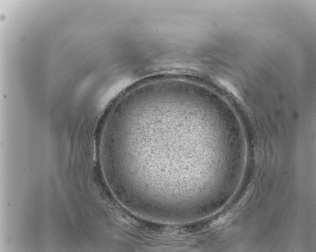 X0000088601267200706011154