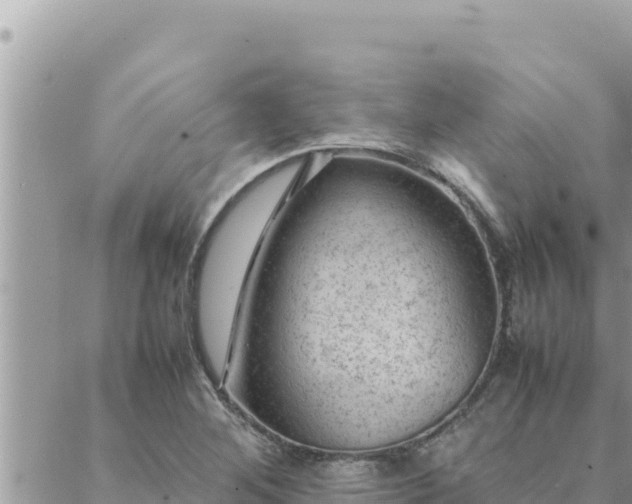 X0000088601268200706011154