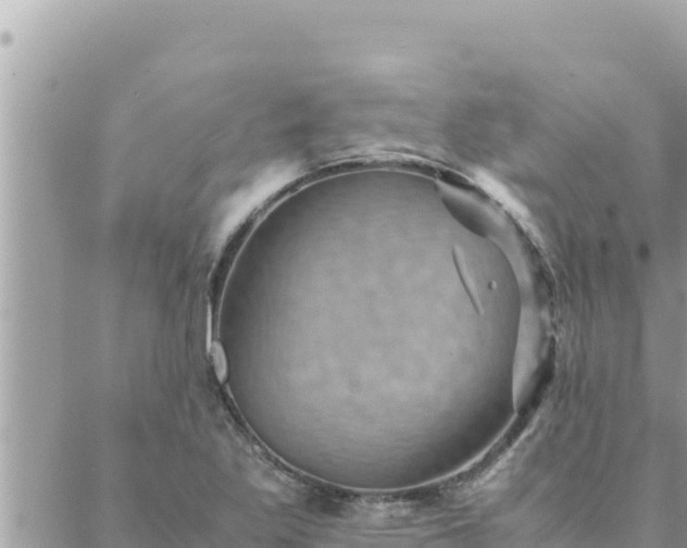 X0000088601269200706011154