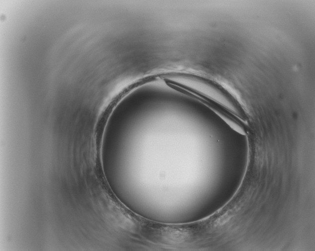 X0000088601270200706011153