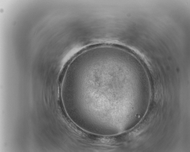 X0000088601271200706011153