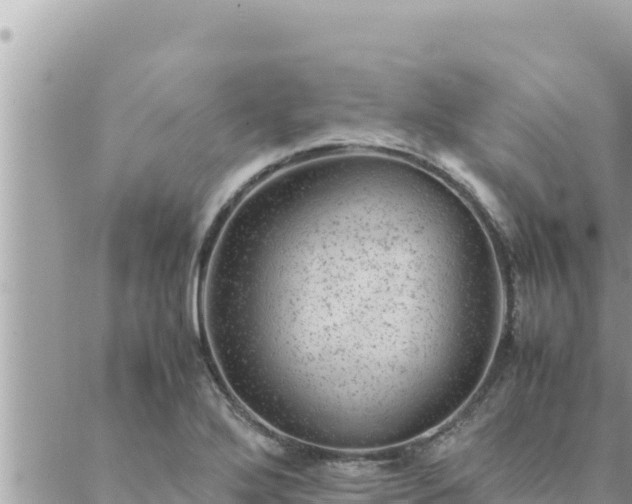 X0000088601272200706011153