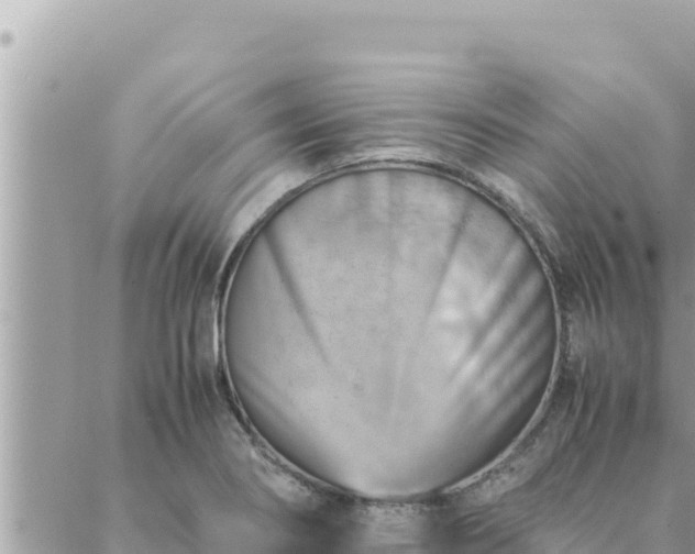 X0000088601274200706011153