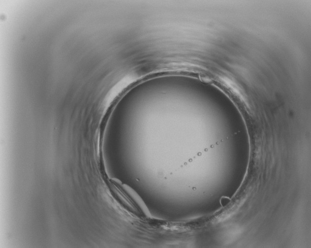 X0000088601275200706011153