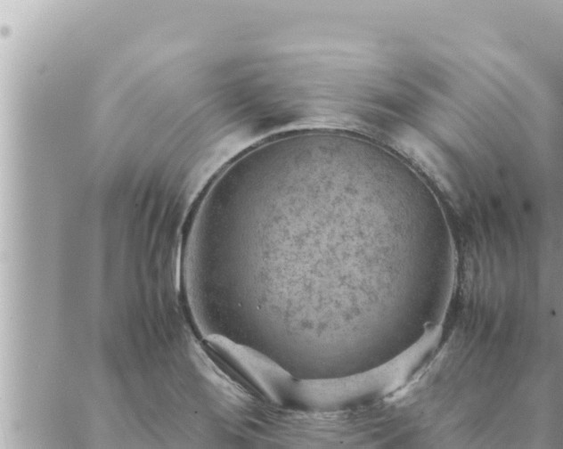 X0000088601276200706011153