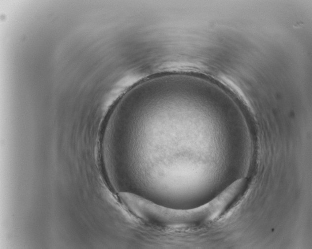 X0000088601277200706011153