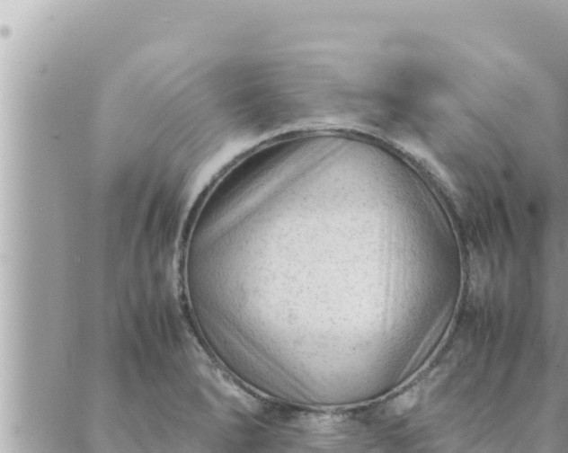 X0000088601278200706011153