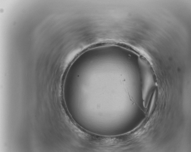 X0000088601279200706011153