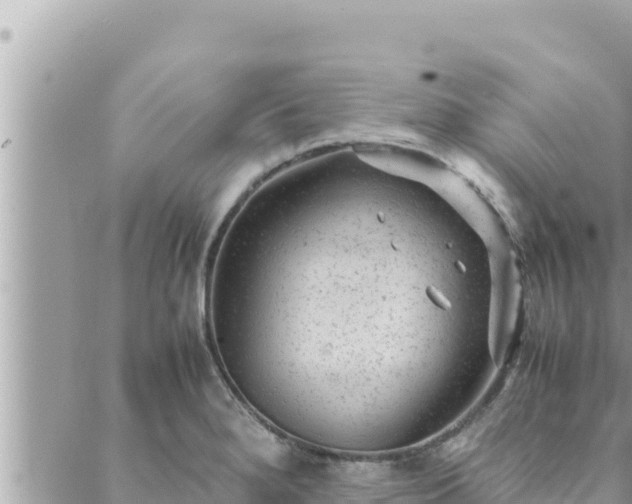 X0000088601280200706011153