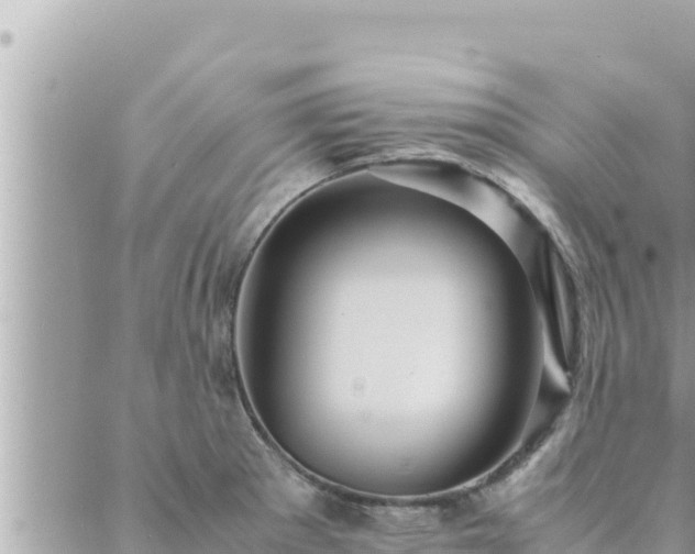 X0000088601281200706011153