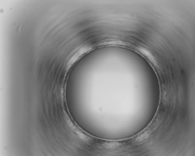 X0000088601282200706011153