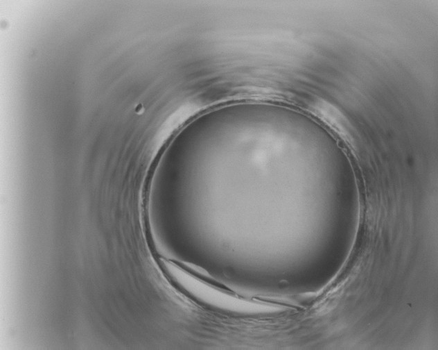 X0000088601283200706011153