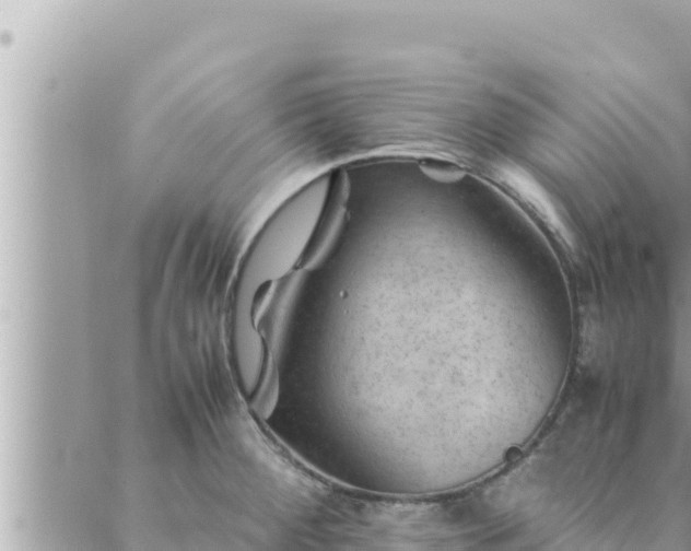 X0000088601284200706011153