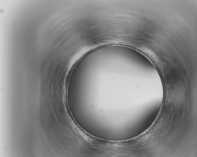 X0000088601286200706011153