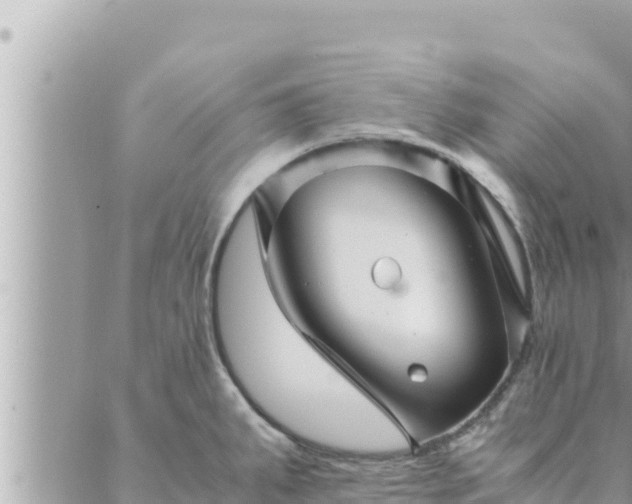 X0000088601287200706011153