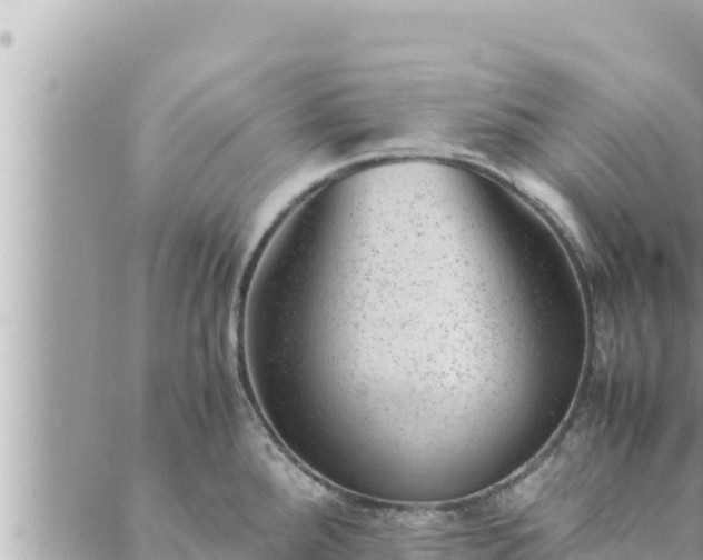 X0000088601288200706011153