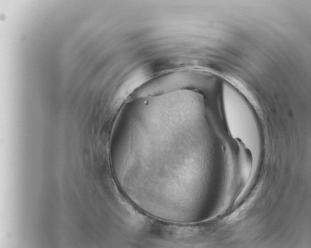 X0000088601289200706011153